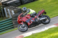 cadwell-no-limits-trackday;cadwell-park;cadwell-park-photographs;cadwell-trackday-photographs;enduro-digital-images;event-digital-images;eventdigitalimages;no-limits-trackdays;peter-wileman-photography;racing-digital-images;trackday-digital-images;trackday-photos
